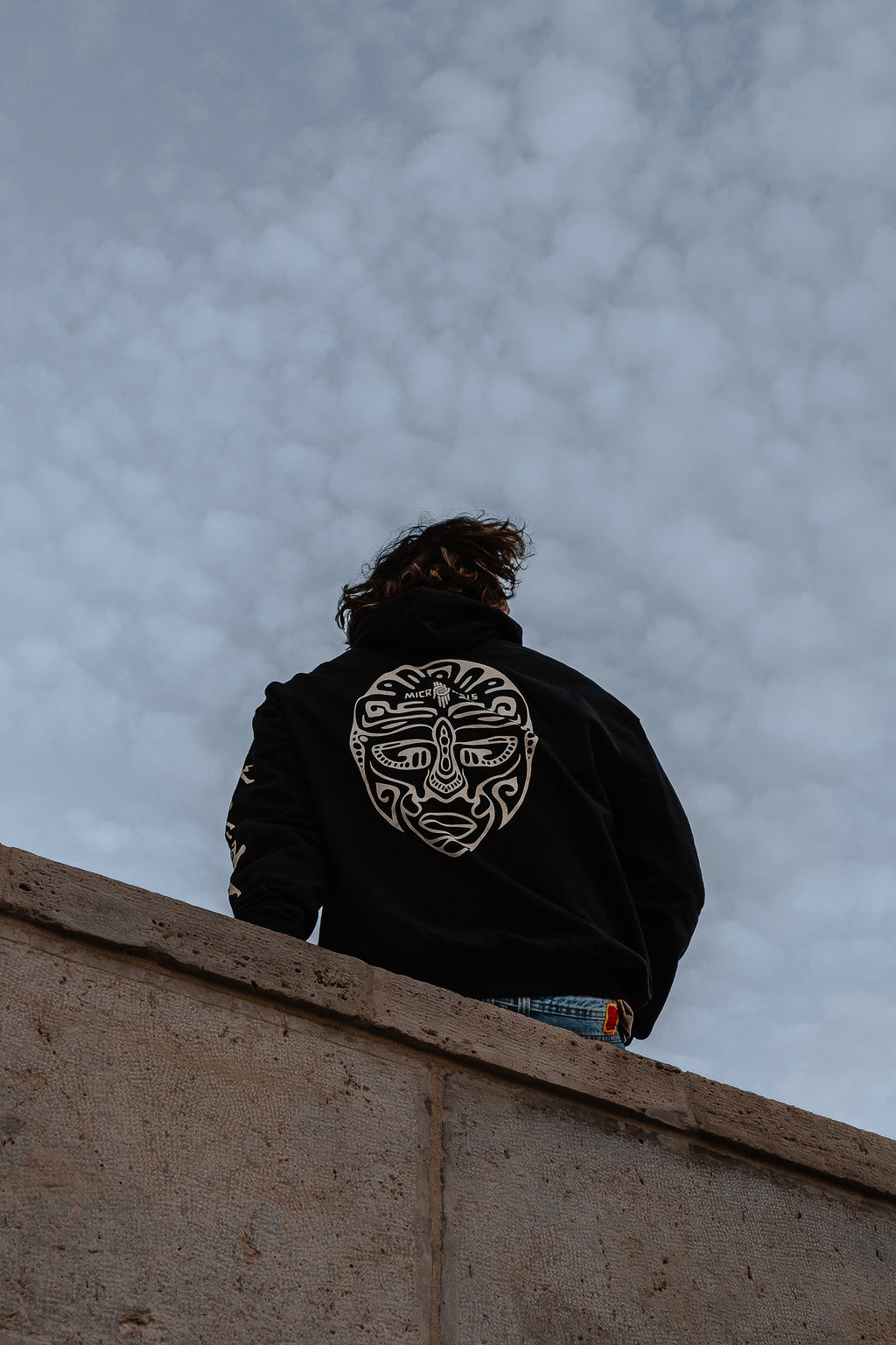 Hoodie - Microasis official merch